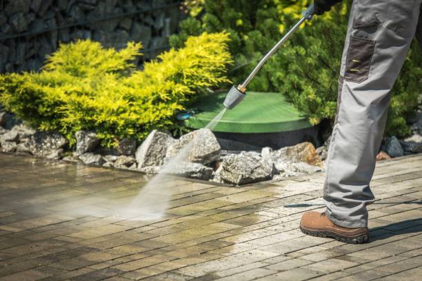 Best Soft Washing  in Monroe Manor, NJ